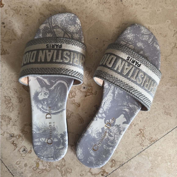 Dior Shoes - Light Gray Dior Slides